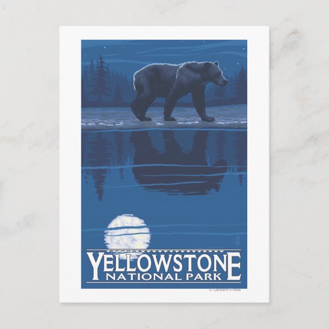 Bär im Mondlicht - Yellowstone Nationalpark Postkarte (Vorderseite)