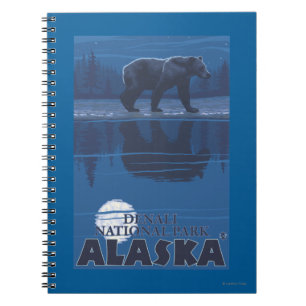 Bär im Mondschein - Denali Nationalpark, Alaska Notizblock