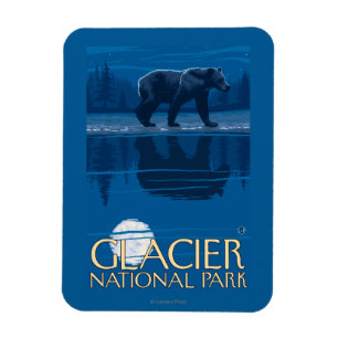 Bär im Mondschein - Glacier Nationalpark, M.Ü. Magnet