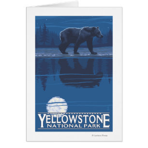 Bär im Mondschein - Yellowstone Nationalpark