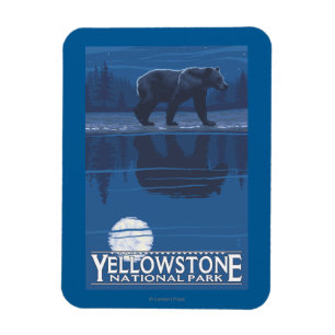 Bär im Mondschein - Yellowstone Nationalpark Magnet