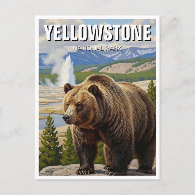 Bär im Yellowstone Nationalpark Souvenir Postkarte (Vorderseite)
