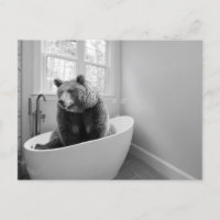 Bär in der Badewanne
