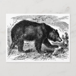 Bär in der Prärie Postkarte