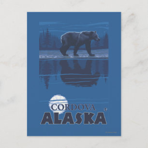 Bär in Mondlicht - Cordova, Alaska Postkarte