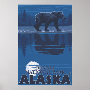 Bär in Moonlight - Nationalpark Denali, Alaska Poster
