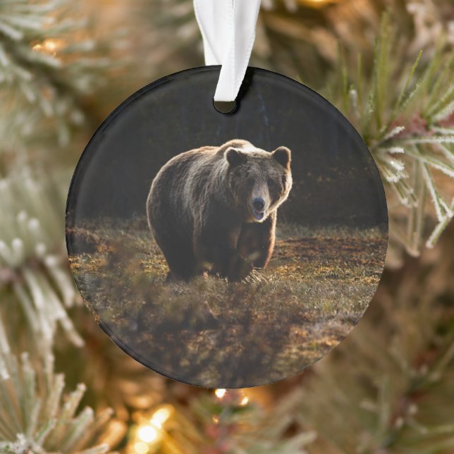Bär Ornament (Baum)