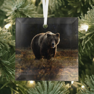 Bär Ornament Aus Glas