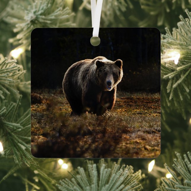 Bär Ornament Aus Metall (InSitu)