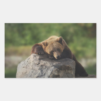 Bär  rechteckiger aufkleber