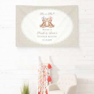 Bär, Schleife, beige Tupfen, Geschlecht Enthüllung Banner