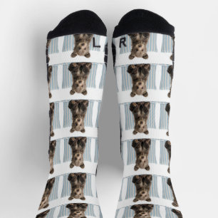 Bär Socken
