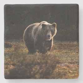 Bär Steinuntersetzer