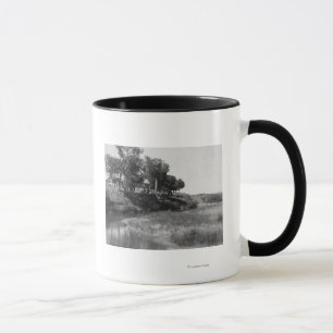 Bar-T-Shirt-Ranch auf Hut-Nebenfluss-Fotografie Tasse