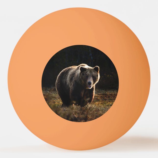 Bär Tischtennisball (Vorderseite)
