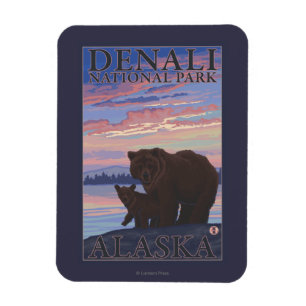 Bär und Cub - Nationalpark Denali, Alaska Magnet
