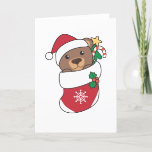 Bär Weihnachten Schnee Winter Tiere Bären