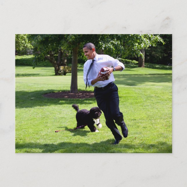 Barack & Bo Obama Postkarte (Vorderseite)