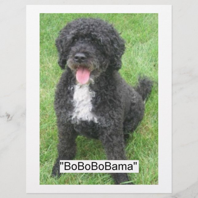 Barack Obama Portugiesischer Wasserdog Flyer (Vorne)