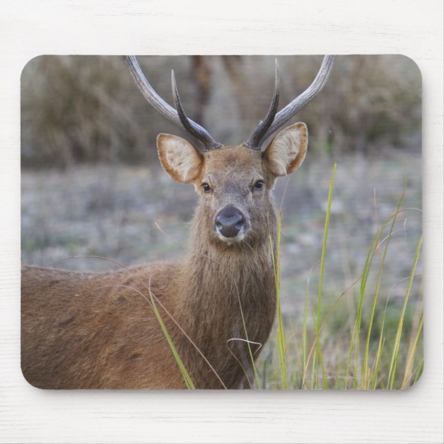 Barasingha oder Barasinga (Rucervus Mousepad (Vorne)