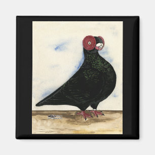 Barb Pigeon Watercolor Magnet