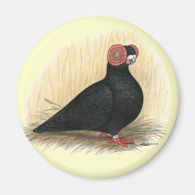 Barb: Standard Black Magnet (Vorne)