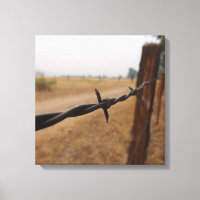 Barb Wire Fence