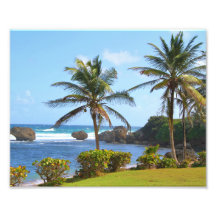 Barbade, Caraïbes, océan, Palmiers, photo