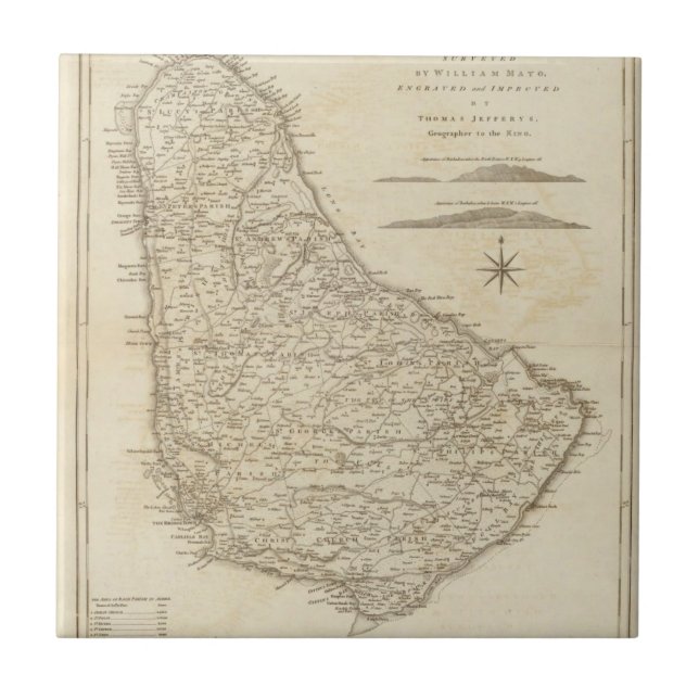 Barbadoes Fliese (Vorderseite)