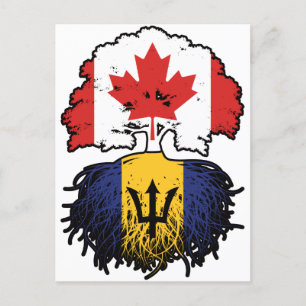 Barbados Barbadian kanadische Tree Roots Flag Postkarte