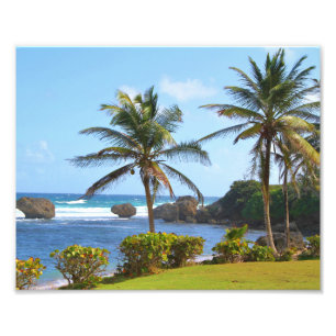 Barbados, Karibik, Ozean, Palmen, Foto