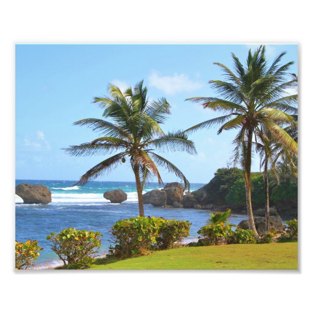 Barbados, Karibik, Ozean, Palmen, Foto (Vorne)