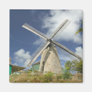 BARBADOS, Nordostküste, Morgan Lewis: Morgan Magnet