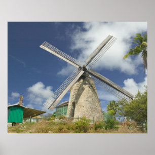 BARBADOS, Nordostküste, Morgan Lewis: Morgan Poster