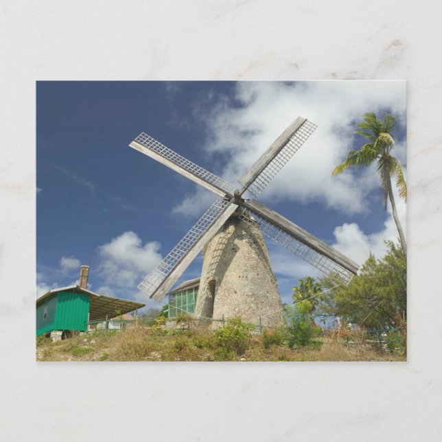 BARBADOS, Nordostküste, Morgan Lewis: Morgan Postkarte (Vorderseite)
