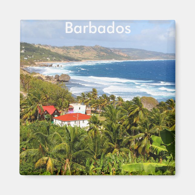 Barbados, Schöne Sicht auf den Hang und das Meer Magnet (Vorne)