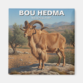 Barbary Sheep im Bou Hedma Nationalpark Tunesien Magnet