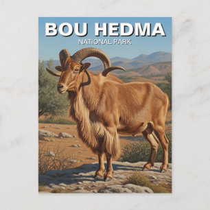 Barbary Sheep im Bou Hedma Nationalpark Tunesien Postkarte