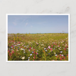 Barbate, Andalusien (Spanien) Postkarte