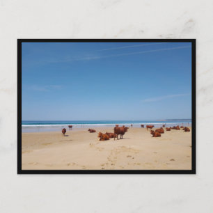 Barbate, Andalusien (Spanien) Postkarte