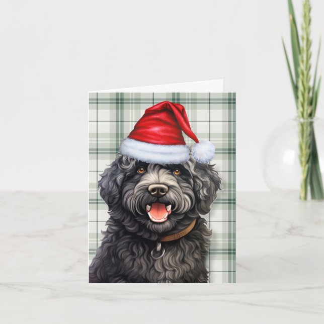 Barbet Christmas Dog Grün Karierte Weihnachten (Vorderseite)