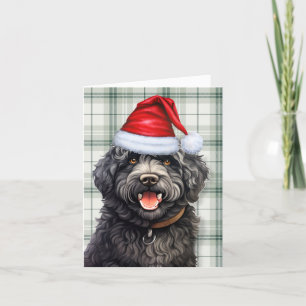 Barbet Christmas Dog Grün Karierte Weihnachten
