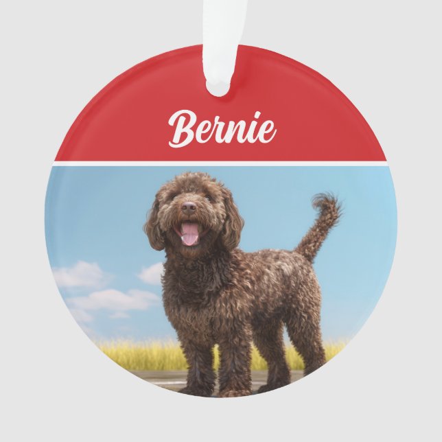 Barbet Dog Holiday Weihnachts-Foto Ornament (Vorderseite)