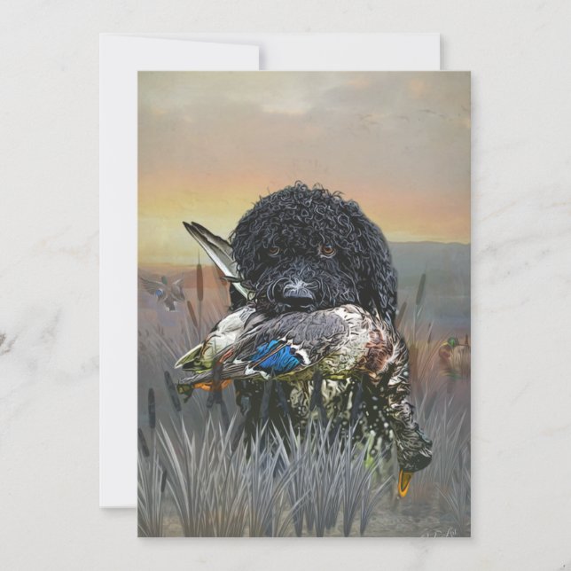 Barbet, französischer Wasserdog Einladung (Vorderseite)