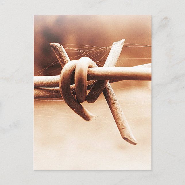 Barbwire und Spider Web in Sepia Postkarte (Vorderseite)