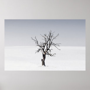 BARE BAUM INMITTEN DES SCHNEES POSTER