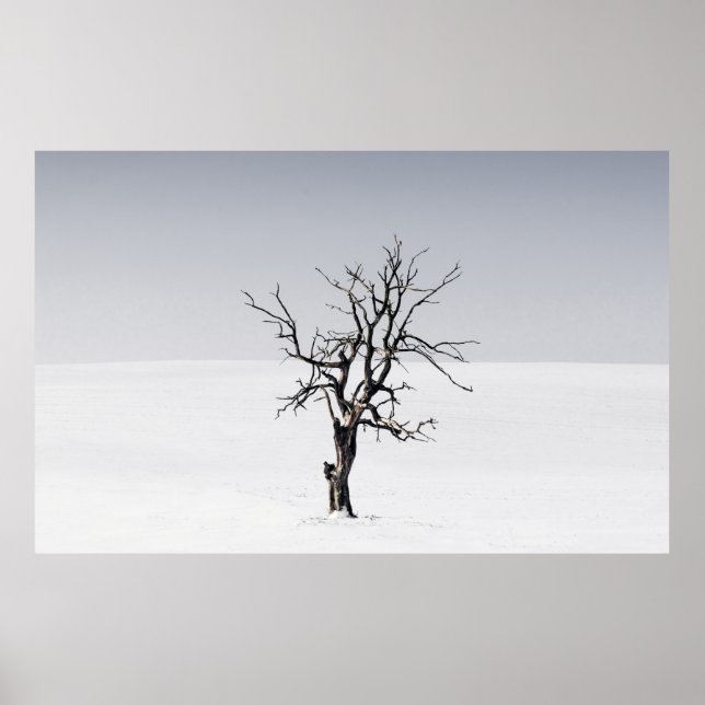 BARE BAUM INMITTEN DES SCHNEES POSTER (Vorne)