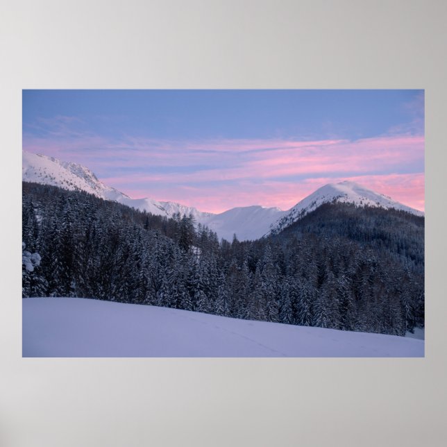 BARE BAUM POSTER (Vorne)