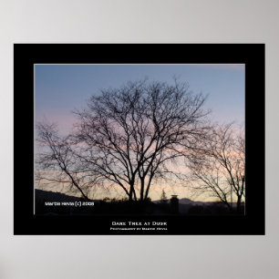 "Bare Tree at Dusk" Poster