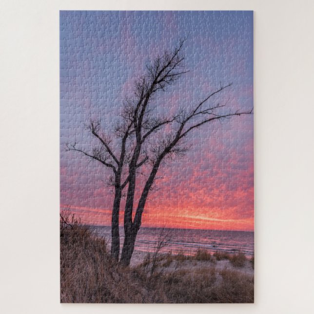 Bare Trees mit Blick auf einen schönen Sonnenunter (Vertikal)